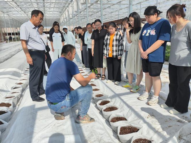 安徽绿色农业：生态之路的绿意盎然